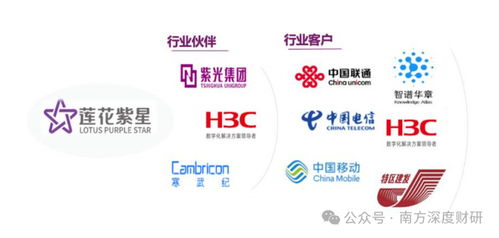 從調味品到AI新勢力 蓮花控股業績領跑同行，科技版圖再落信息技術咨詢服務關鍵一子